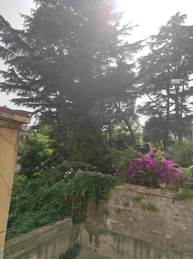 Costa Del Sole Bed and Breakfast Salerno Eksteriør billede